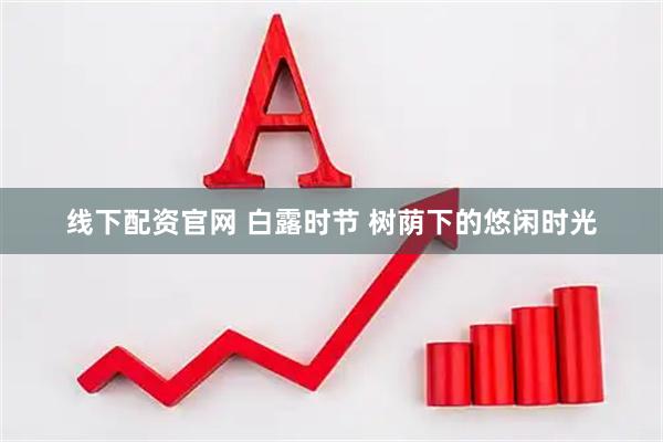 线下配资官网 白露时节 树荫下的悠闲时光